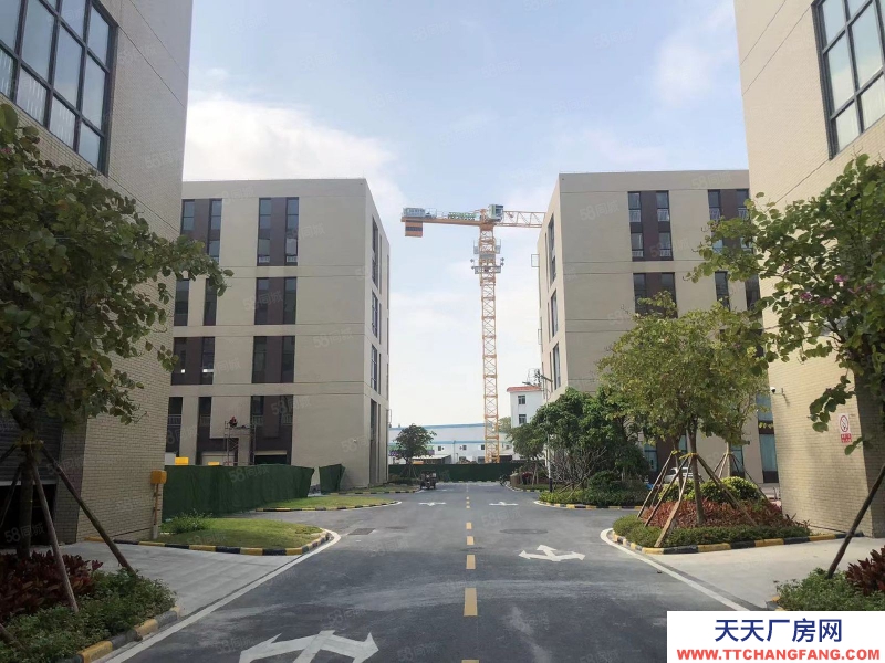 (出售) 佛山禪城五八科創園3600平方四層獨棟出售丨可按揭