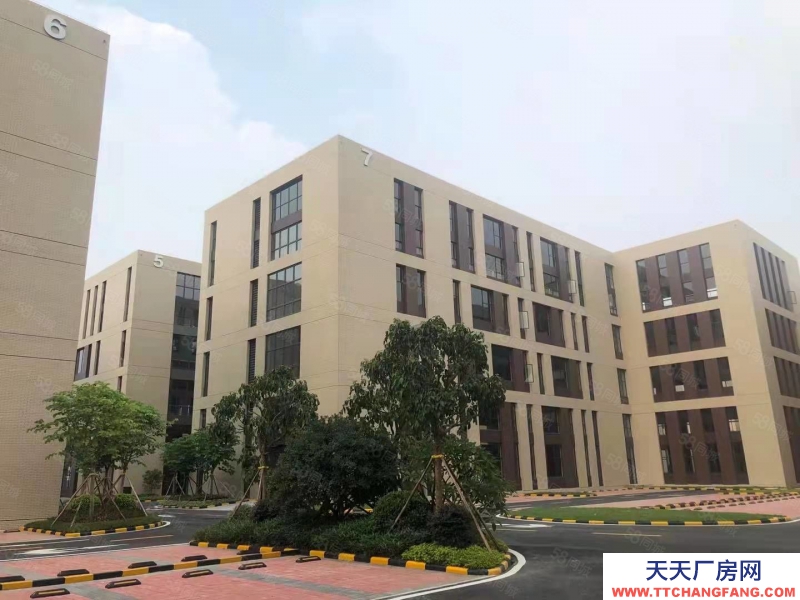 (出售) 佛山禪城現(xiàn)樓半獨(dú)棟廠房 僅售3800元 稅收低 層層出證