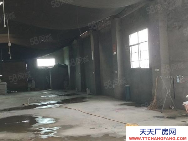 益陽市赫山區緊鄰G319道路交通便利房東自建標準廠房倉庫優價出租