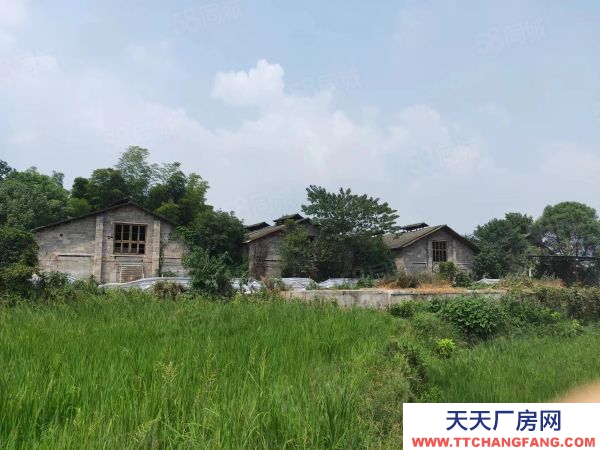益陽市赫山區緊鄰國道234帶飼料塔房東自建標準倉庫養殖廠優價出租