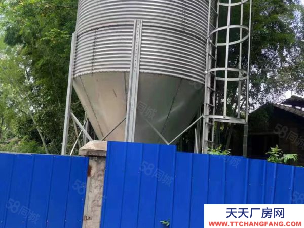 益陽市赫山區緊鄰國道234帶飼料塔房東自建標準倉庫養殖廠優價出租