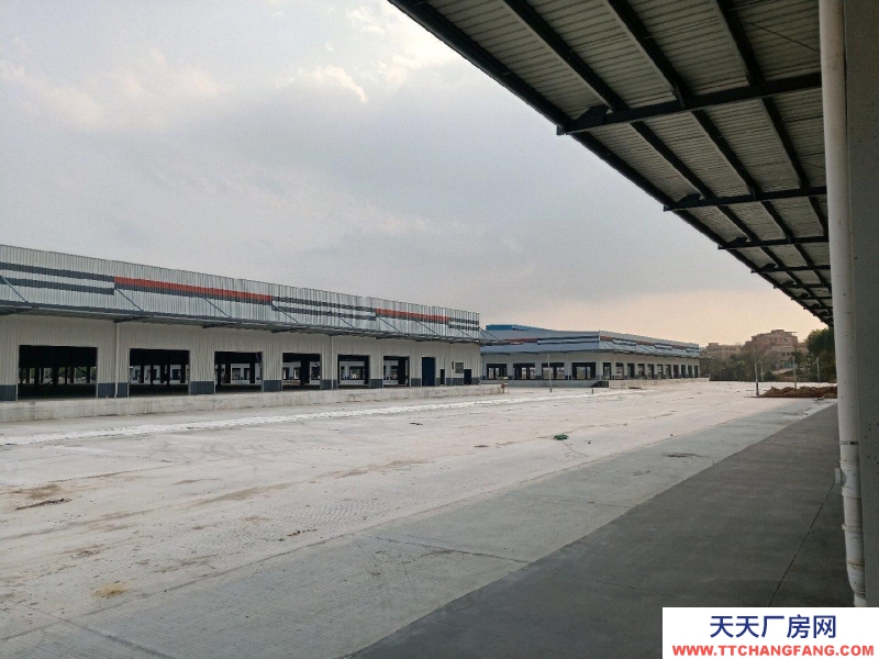 (出租) 佛山高明全新獨門獨院證件齊全倉庫出租