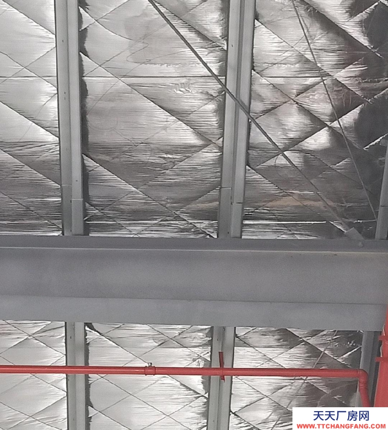 (出租) 佛山高明全新獨門獨院證件齊全倉庫出租