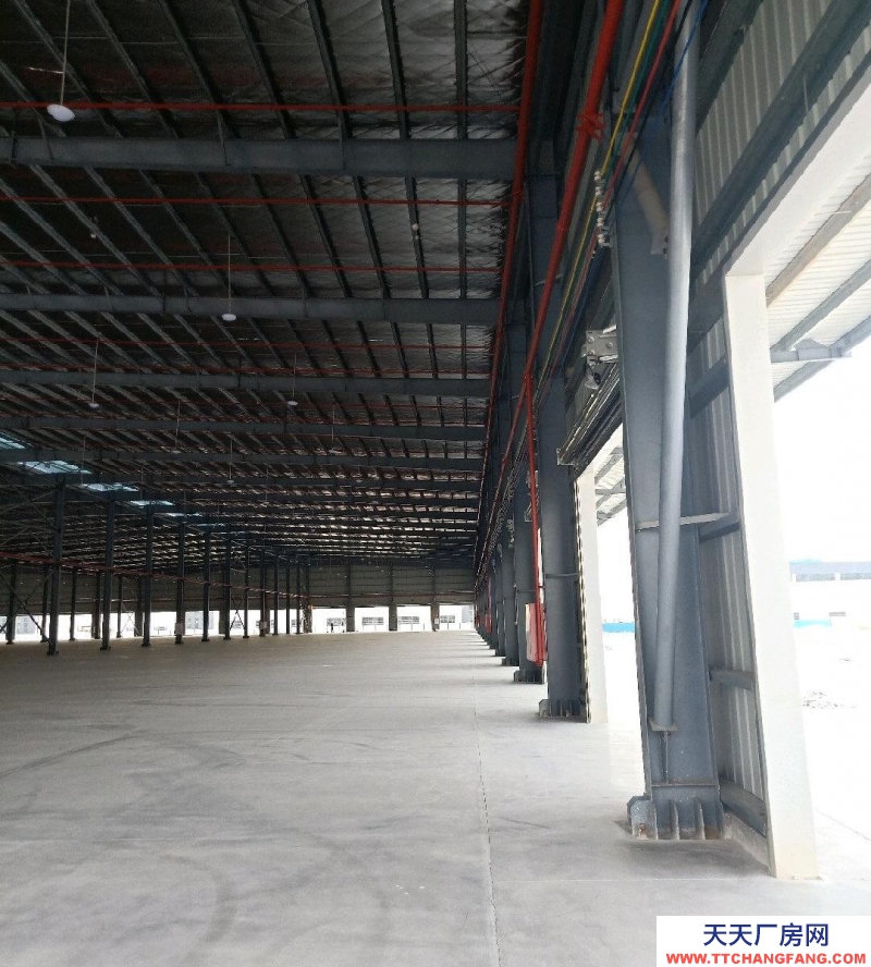 (出租) 佛山高明全新獨門獨院證件齊全倉庫出租