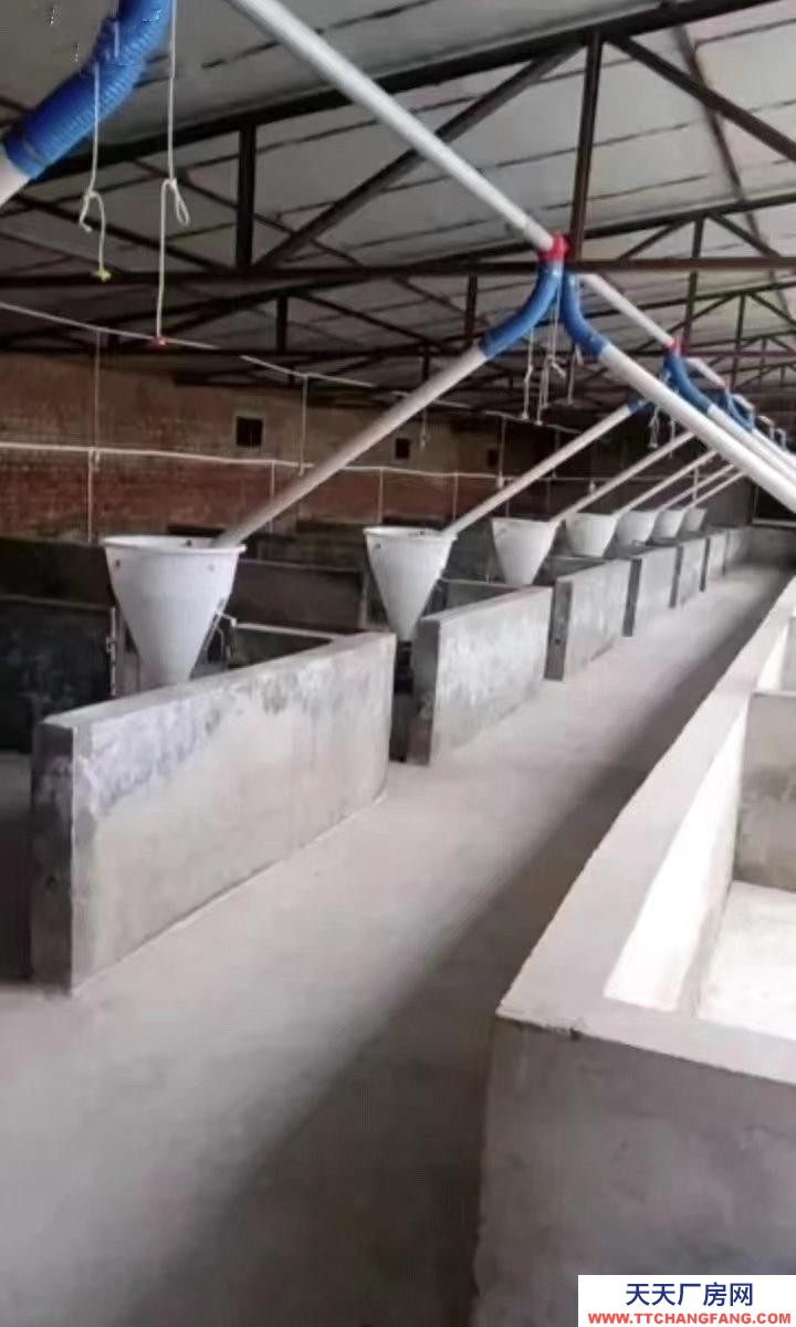 (出租) 養殖廠，工廠地理位置優雅