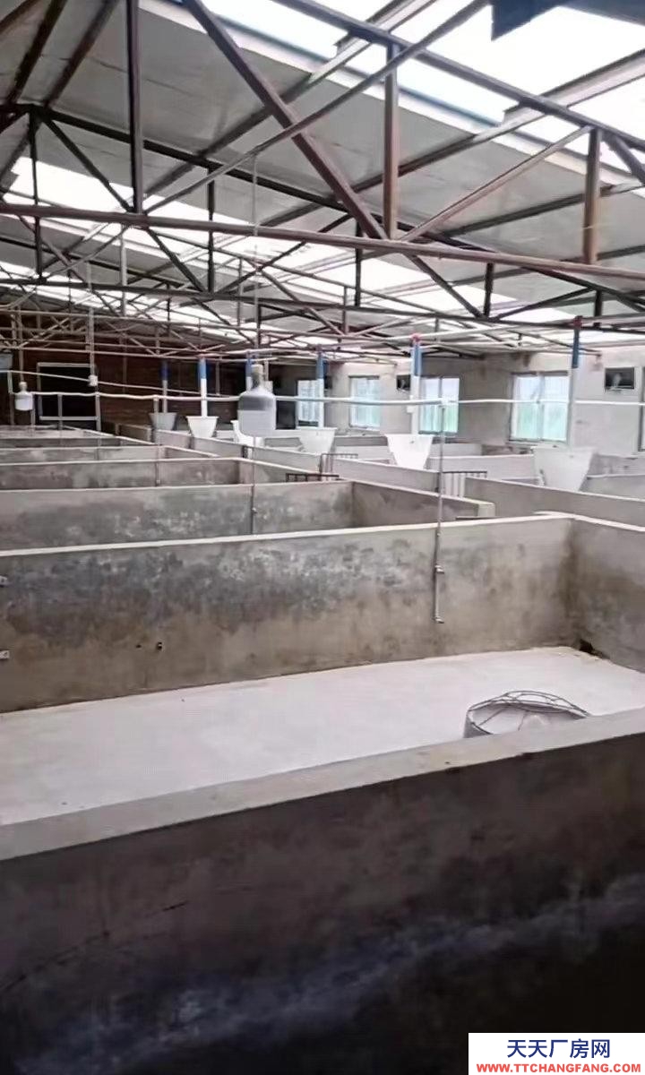 (出租) 養殖廠，工廠地理位置優雅