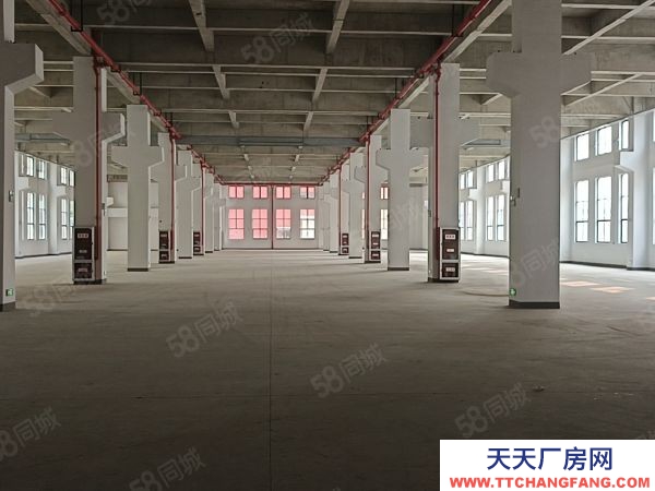 蘇州市吳中區出租木瀆一樓2500平 層高8米 帶有牛角 形象