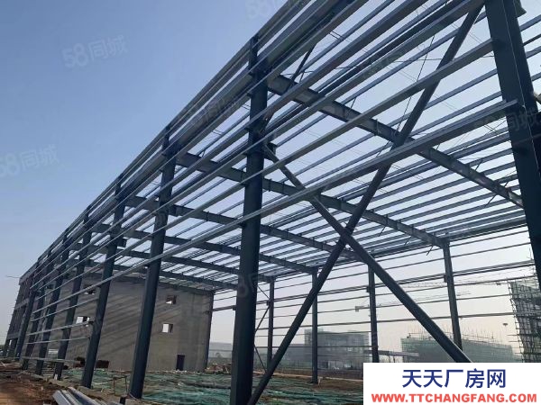 蘇州市吳中區 純單層 層高12米鋼結構廠房 可環評