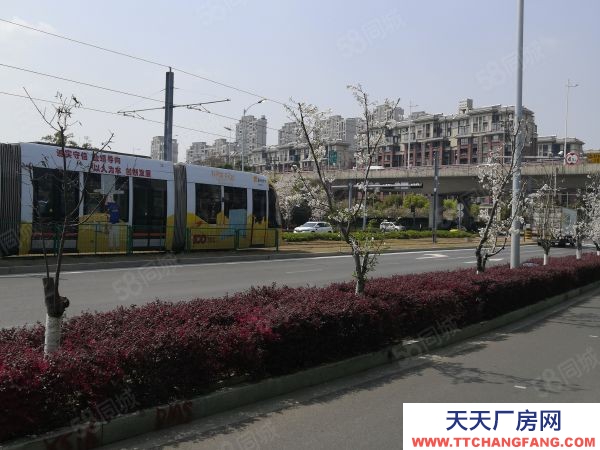 蘇州市虎丘區 非中介！國土雙證！1000~6000平米！花園式廠房！