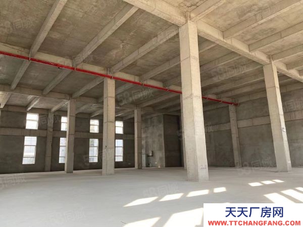 蘇州市虎丘區地鐵口現房租售首層6到8米，客戶政府購置補貼人才獎勵