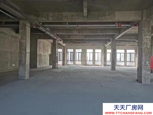 蘇州市虎丘區 政府直招、獨立產權、全新廠房