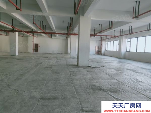 蘇州市金閶區標準廠房6500平，共5層，可分租，加工，研發，產業園