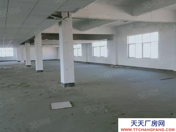 益陽市資陽區 無中介費奧士康公司斜對面標準廠房倉庫業主直租行業不限