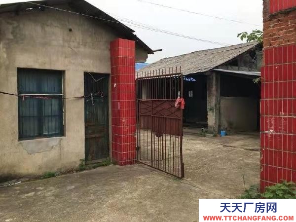 益陽市資陽區(qū)三一九國道旁廠房直租