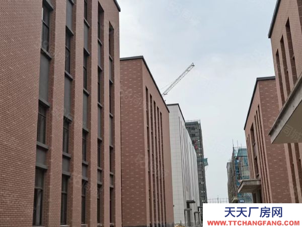 蘇州市平江區(qū) 三層獨(dú)棟即買即用首付三成