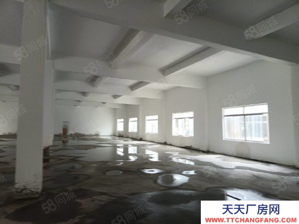 蘇州市平江區望亭新出700平倉庫層高5.5米平頂大車好進出價位美麗