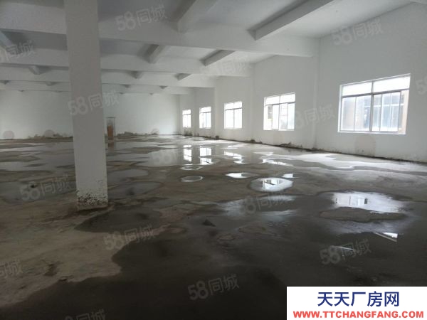 蘇州市平江區望亭新出700平倉庫層高5.5米平頂大車好進出價位美麗