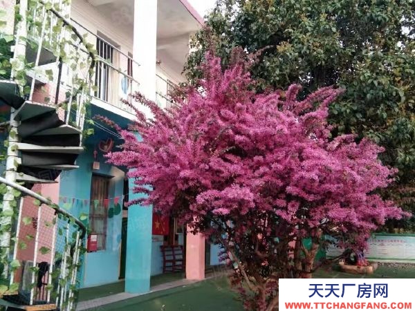 益陽市南縣區租金便宜!南縣調蓄湖村旁廠房倉庫房東直租行業不限