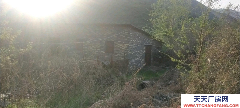 (出租) 以前養羊廠地，100平左右，地方寬闊，水電都有，交通便利。