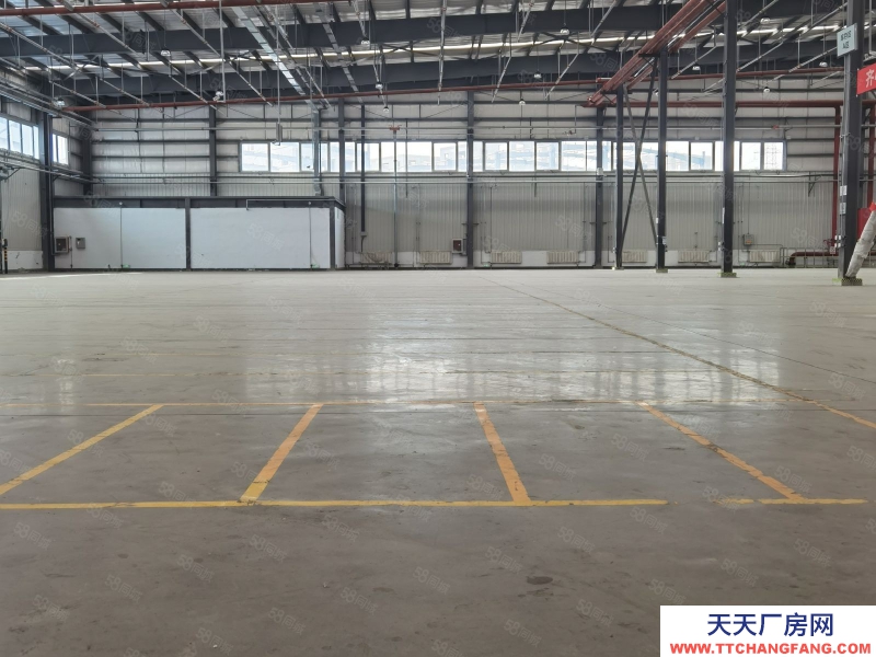 (出租) 天津漢沽精選倉(cāng)庫(kù)丙二類(lèi)高臺(tái)倉(cāng)高臺(tái)庫(kù)高標(biāo)庫(kù)出租分租