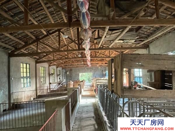 常德市澧縣閑置豬廠一棟設施齊全，可帶住房出租（售）。
