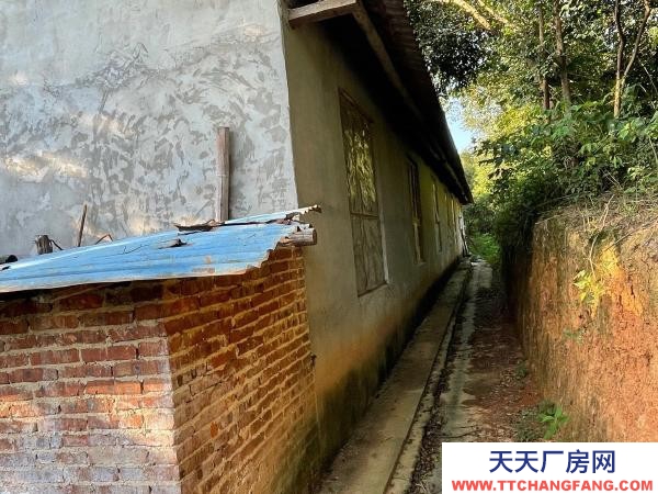 常德市澧縣閑置豬廠一棟設施齊全，可帶住房出租（售）。