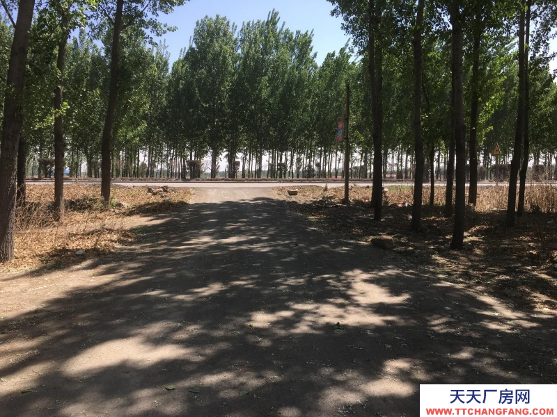 唐山 古治 出租古冶王輦莊北外環路廠房