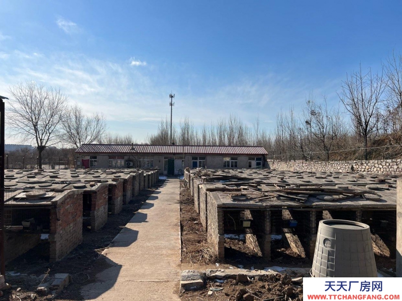 唐山 古治 農(nóng)業(yè)養(yǎng)殖基地倉儲住宅配套設(shè)施齊全水電交通齊全