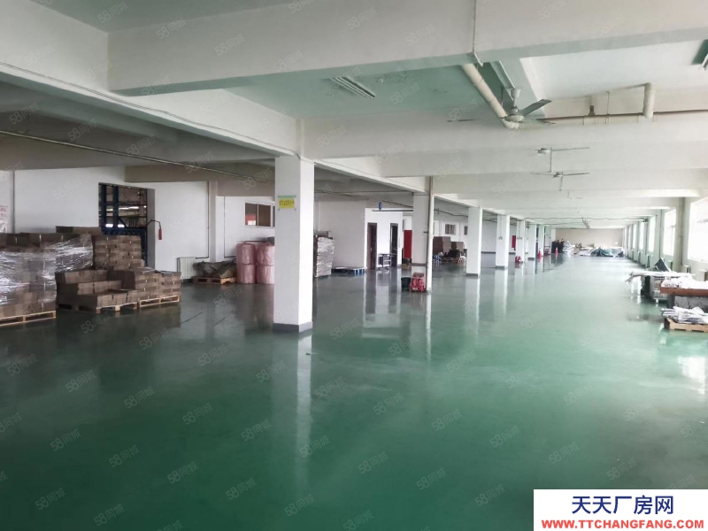 (出租) 天津塘沽開發區西區廠房出租