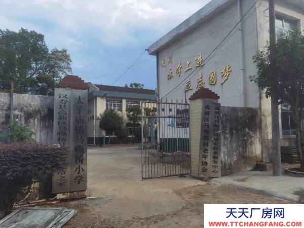 常德市漢壽縣太子廟工業(yè)園馬嘶橋社區(qū)319國道邊50米處，馬嘶橋小學(xué)