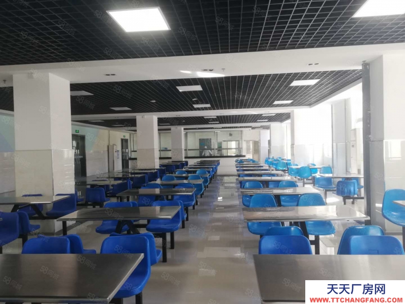 (出租) 天津河西正規(guī)工業(yè)廠房租售 3000平米三層獨(dú)棟 有環(huán)評(píng)