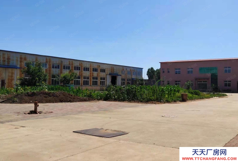 (出租) 天津?qū)氎娣郊仪f工業(yè)區(qū)附近鋼結(jié)構(gòu)廠房5100平米 可注冊環(huán)評