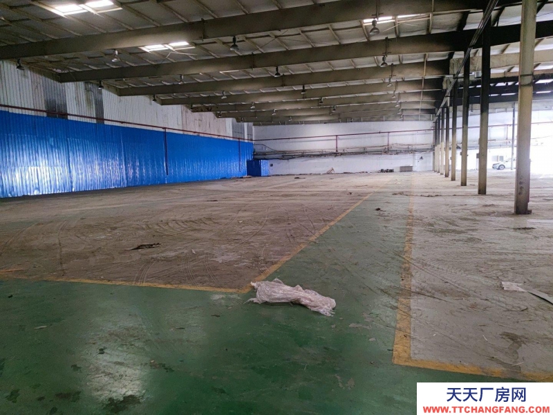 (出租)天津漢沽 開發(fā)區(qū)4300平廠房出租，1000起租 手續(xù)齊全 可環(huán)評