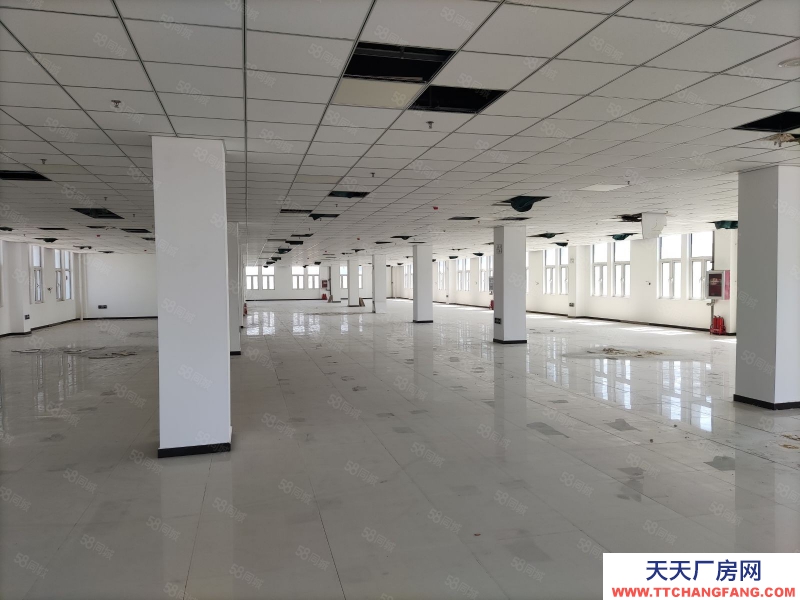 (出售) 天津塘沽(高端精密儀器產業園)打造天津(儀器設備研發生產)的專業園區