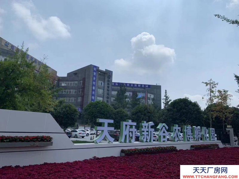 （轉讓）天府農博孵化園3號車間2層轉讓，全裝修，帶辦公室