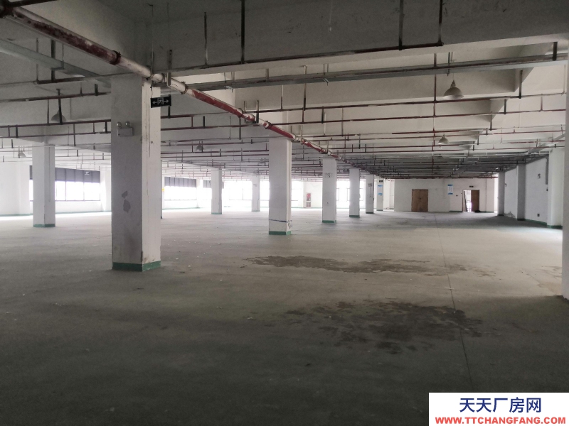 出租童裝行業(yè)廠房 湖州織里500平、1000平、1600平、3000平