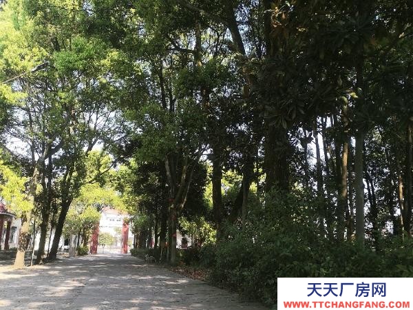 常德市臨澧區(qū) 位于臨澧縣新安鎮(zhèn)火車站可做倉庫廠房