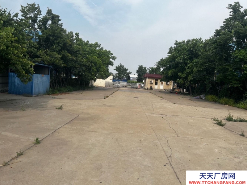 (出售) 天津津南開發(fā)區(qū)聚英路，工業(yè)用地60萬一畝，聚英路占地25畝不議價