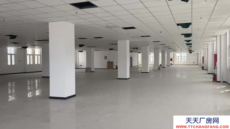 (出售) 天津津南獨棟廠房 重點引進(jìn)與培育高端精密儀器領(lǐng)軍企業(yè)