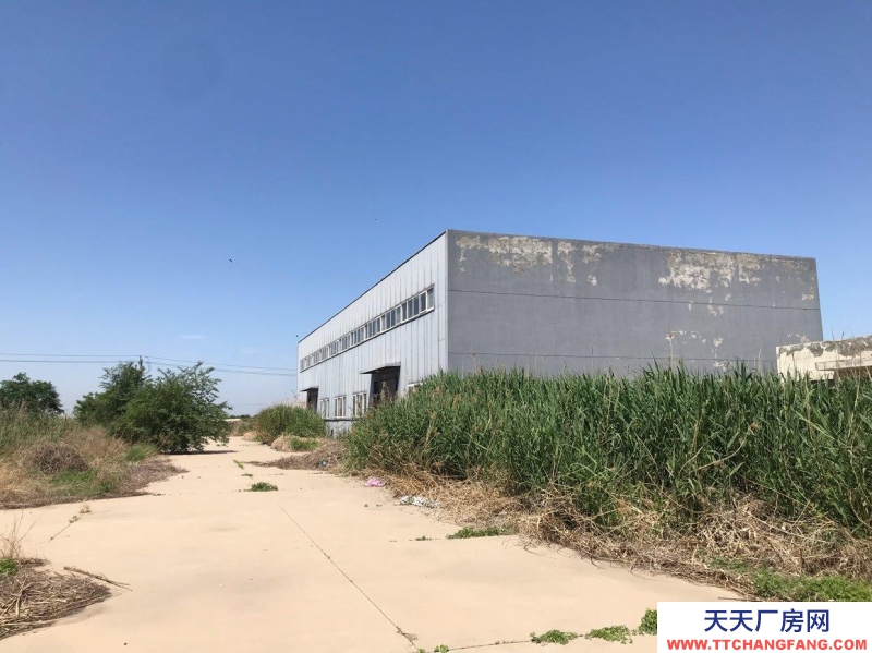 (出售)天津 武清區經濟區20畝10畝出售