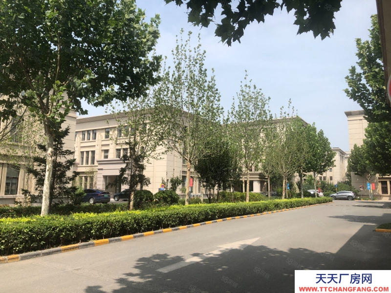 (出售) 天津河西環線旁，超低單價辦公平層，電梯入戶