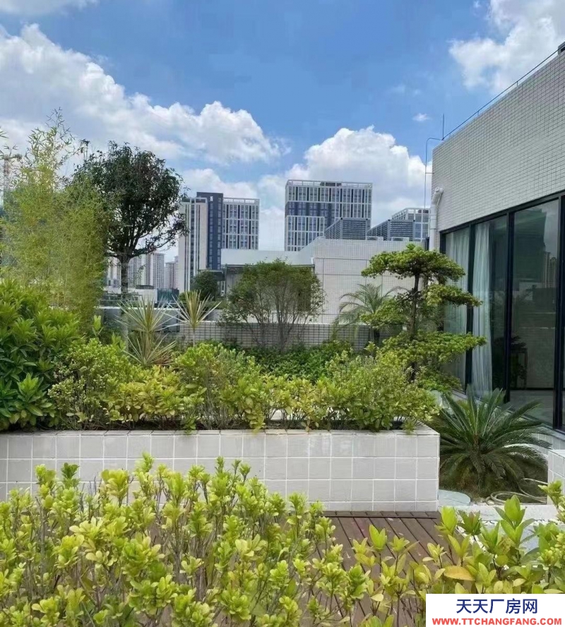 (出售) 天津東麗準現房！自持廠房出售、產研辦一體地鐵上蓋、7.5米層高送車位