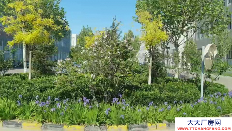 (出售) 天津北辰在建紅本廠房，可貸款，低首付，有環評，層高7.2