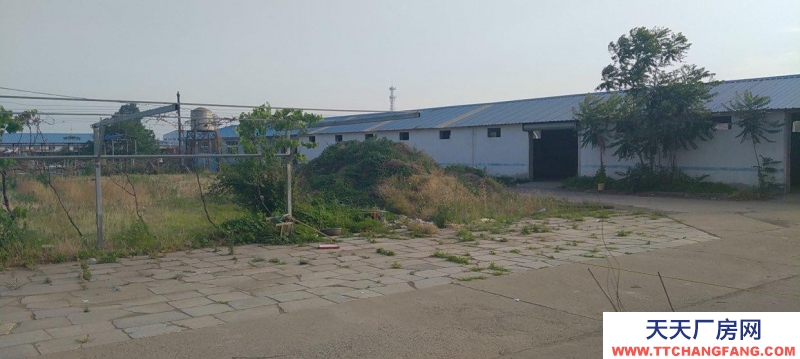 唐山 灤南 十畝大院對外出租水電俱全出入方便