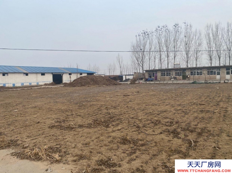 唐山 灤南  青坨營20畝大院，三相電，廠房宿舍俱全