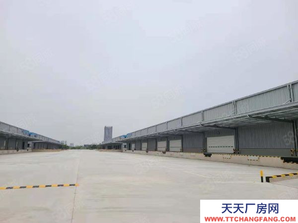 無錫江陰申港亞包大道10000平方丙一類高標(biāo)倉庫出租