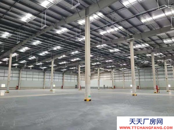 無錫江陰申港亞包大道10000平方丙一類高標倉庫出租