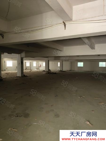 無錫江陰新橋倉庫1500平價格160元平