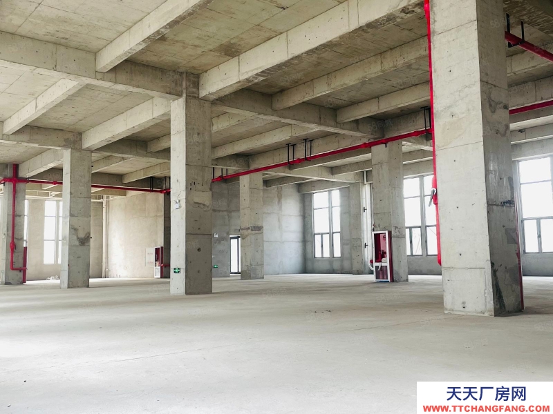 廊坊 廣陽  雙層企業(yè)獨(dú)棟適合生產(chǎn)研發(fā)辦公 獨(dú)立電梯 有房本50年