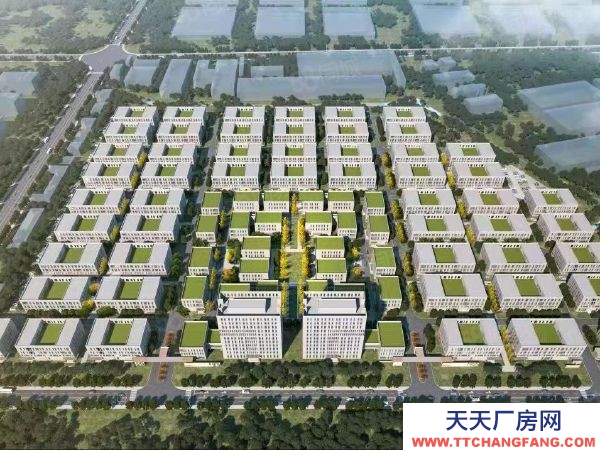 無錫濱湖單層12米廠房 多層 可定制 1千至6千平 國土50年